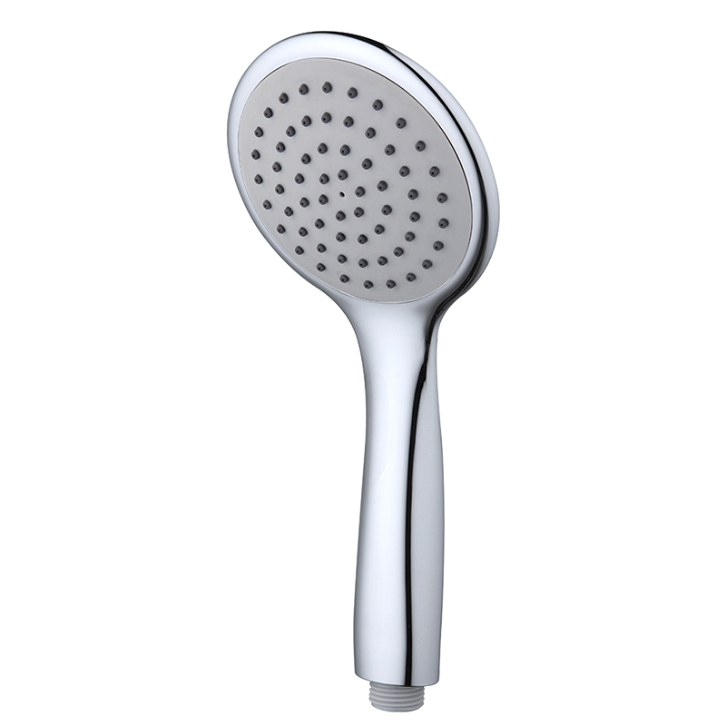 Singular Function Handshower