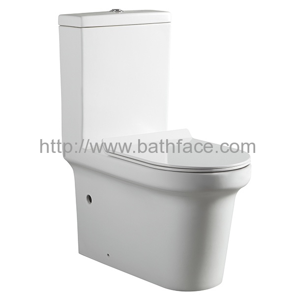 Dual Flush One Piece Wash Down Ceramic Toilet