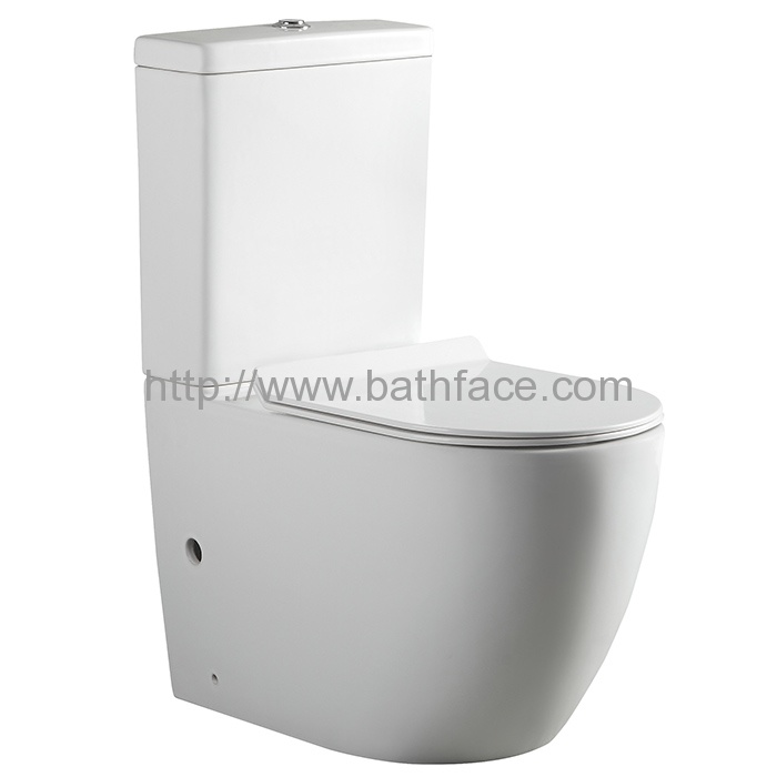 Vitreous China Dual Flush Two Piece Wash Down Toilet