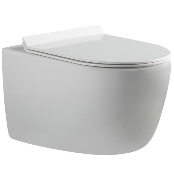 Vitreous China Wall Hung Dual Flush Wash Down Toilet