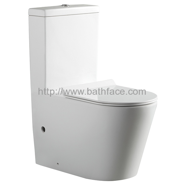 Ceramic Dual Flush One Piece Wash Down Toilet