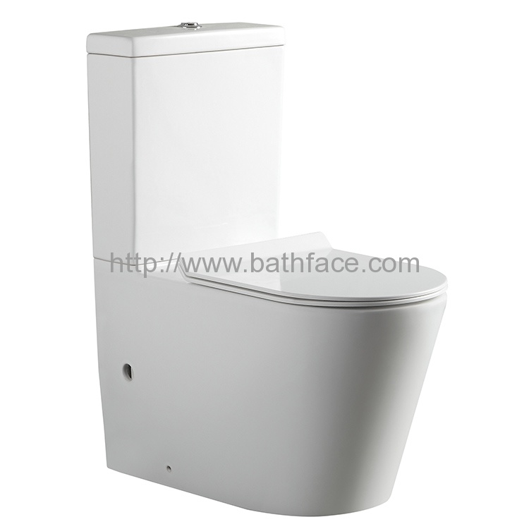 Ceramic Dual Flush Two Piece Wash Down Toilet