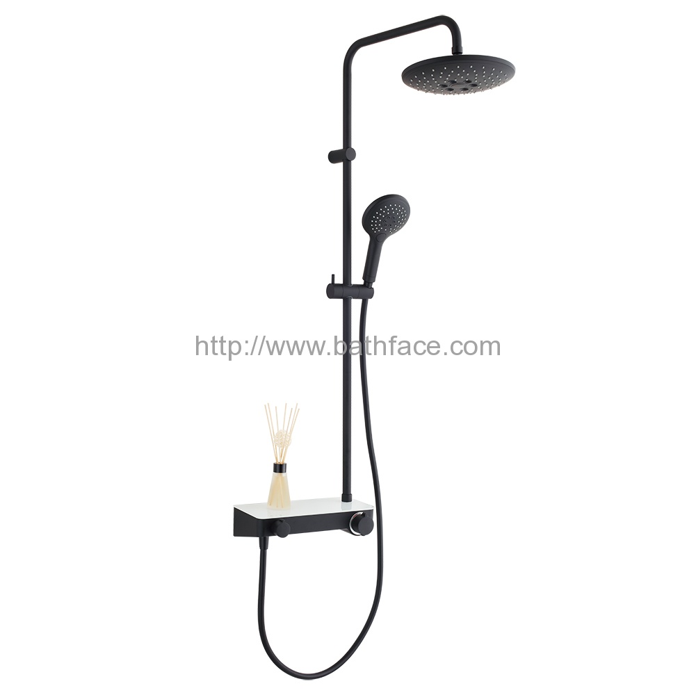 France Vernet Cartridge Back Thermostatic Mixer Shower