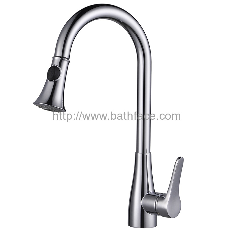 Brass Pull Down Spray Single Hole Kitchen Tap