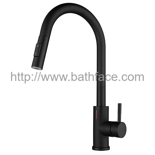 Touchless Wave Sensor Induction Kitchen Tap